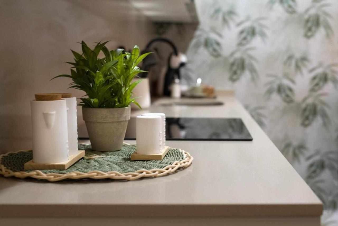 Apartamento Rural Isla Esencia De Bardenas Navarra Villafranca ภายนอก รูปภาพ